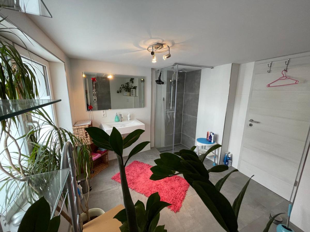 Willingenvakanties,Modern Quality Apartments Restyled Nov 2022 Willingen 2023 Екстериор снимка